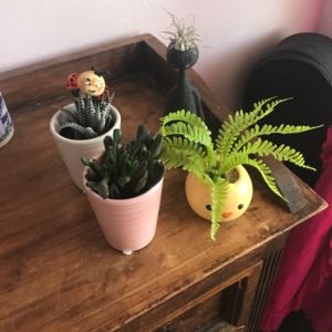 Meet your Posher, Amira